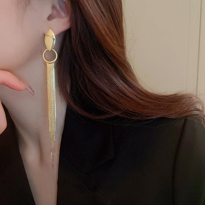 Women's Fashion Silver Needle Oval Long Geometric Chain Tassel Earrings-Jewearrings