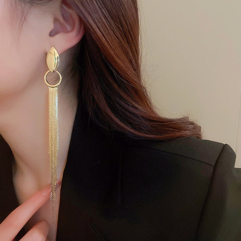 Women's Fashion Silver Needle Oval Long Geometric Chain Tassel Earrings-Jewearrings