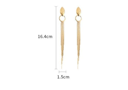 Women's Fashion Silver Needle Oval Long Geometric Chain Tassel Earrings-Jewearrings