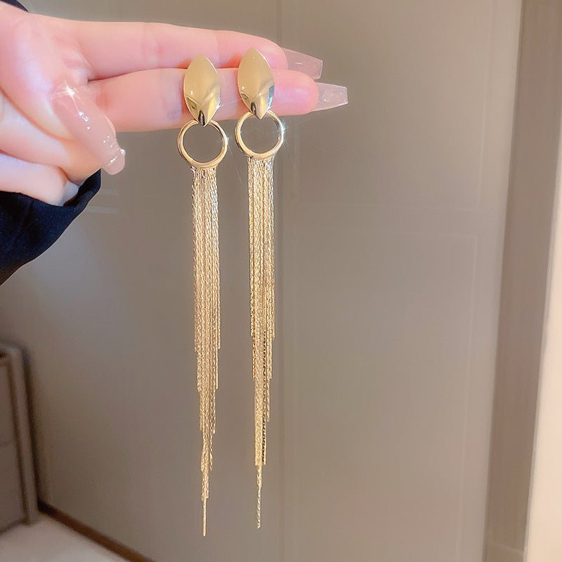 Women's Fashion Silver Needle Oval Long Geometric Chain Tassel Earrings-Jewearrings