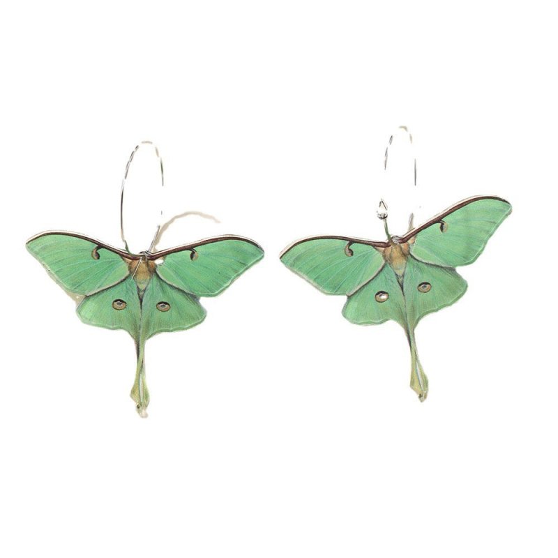 Women's Fashion Simple Acrylic Green Butterfly Moth Earrings-Jewearrings